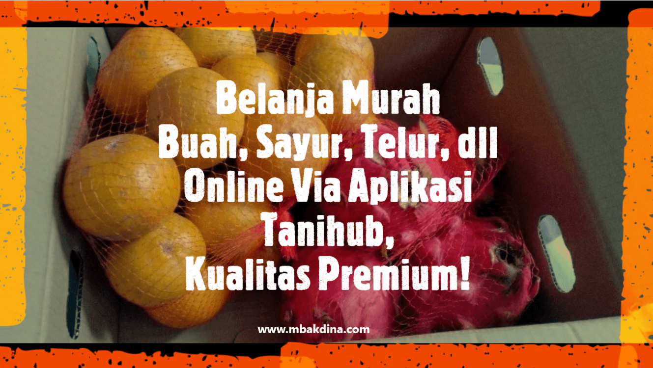 Belanja Murah Buah, Sayur, Telur di Aplikasi Tanihub, Kualitas Premium!